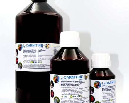 L-CARNITINE 100 ml, 250 ml, 1 l