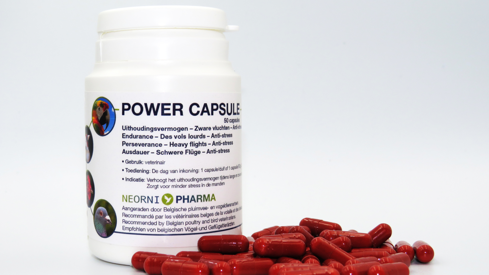 POWER CAPSULE 50 Kapsel NeorniPharma